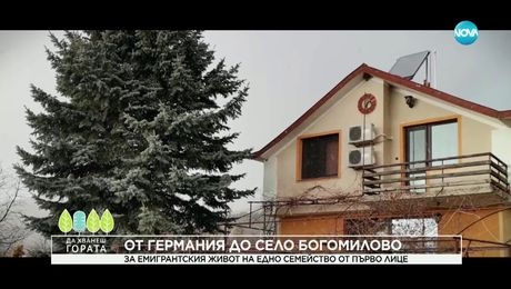 изображение на Да хванеш гората (02.03.2025)