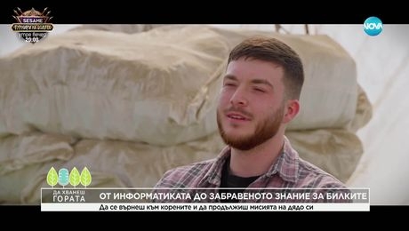 изображение на Да хванеш гората (16.03.2025)