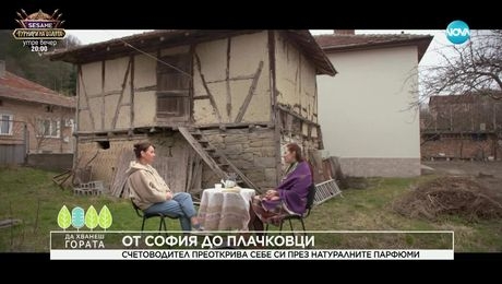 изображение на Да хванеш гората (06.04.2025)