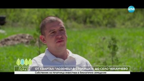 изображение на Да хванеш гората (11.05.2025)
