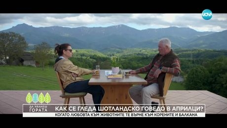 изображение на Да хванеш гората (01.06.2025)