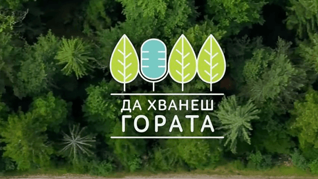 изображение на Да хванеш гората