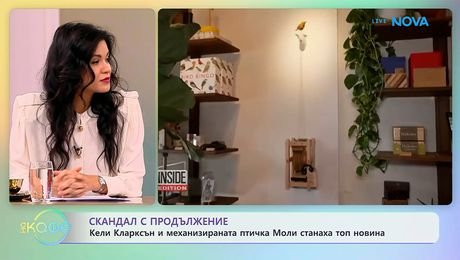 изображение на Кели Кларксън и механизираната птичка Моли станаха топ новина | На кафе | 15 окт. 2026